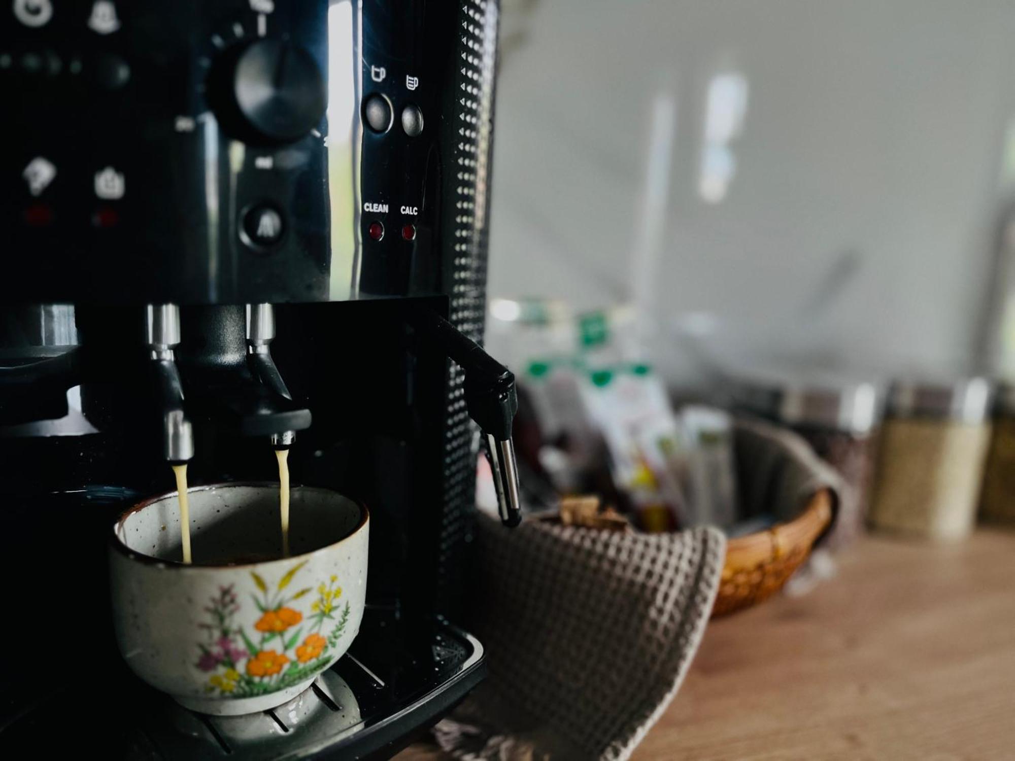Appartement Bian Timişoara